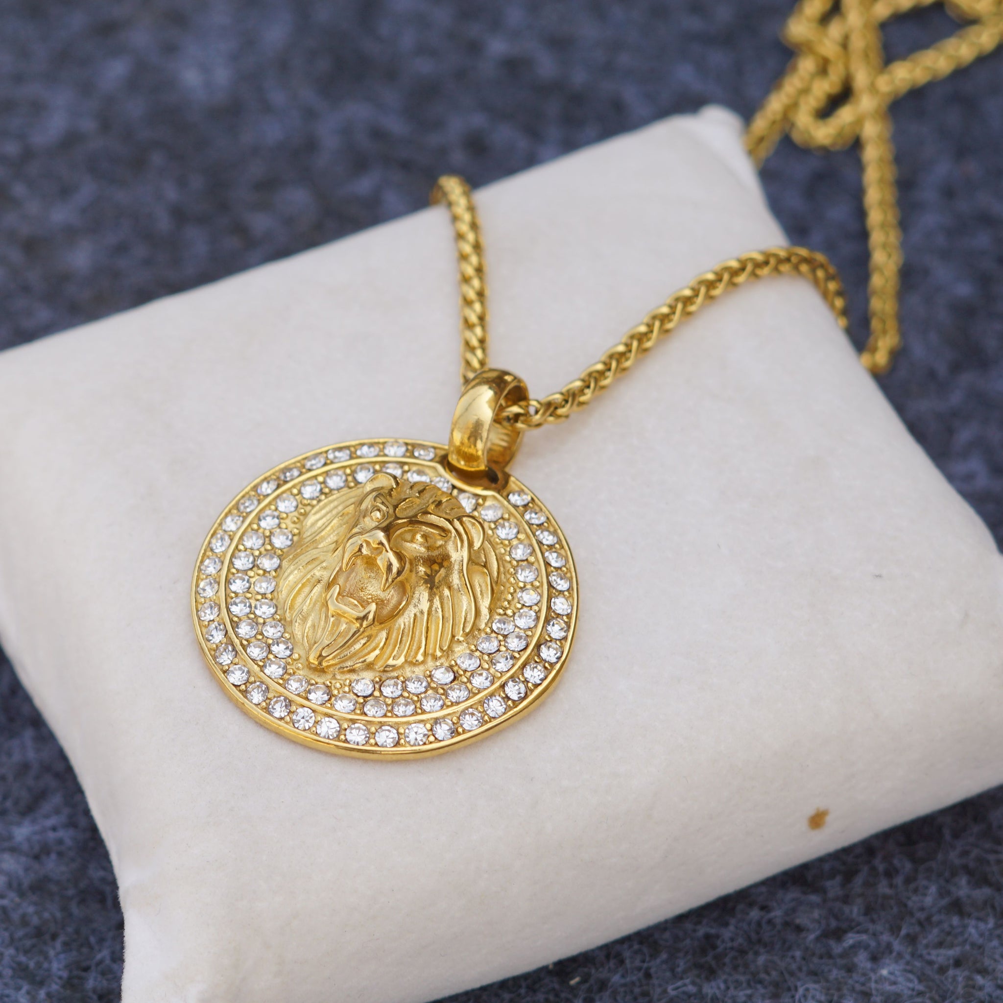 Lion Coin Gold Chain Pendant Set For Men